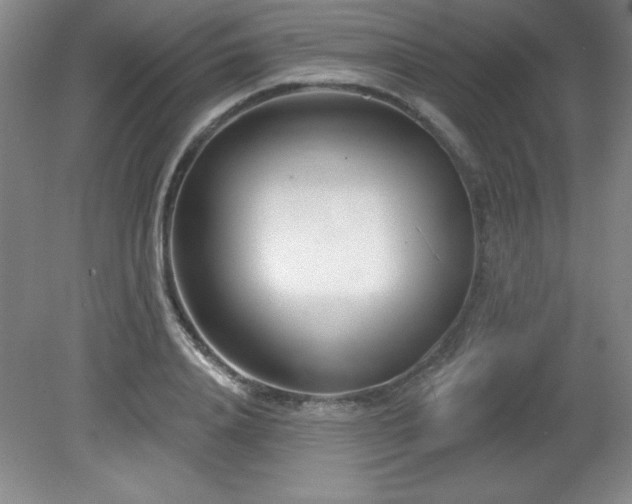X0000082160840200701191239