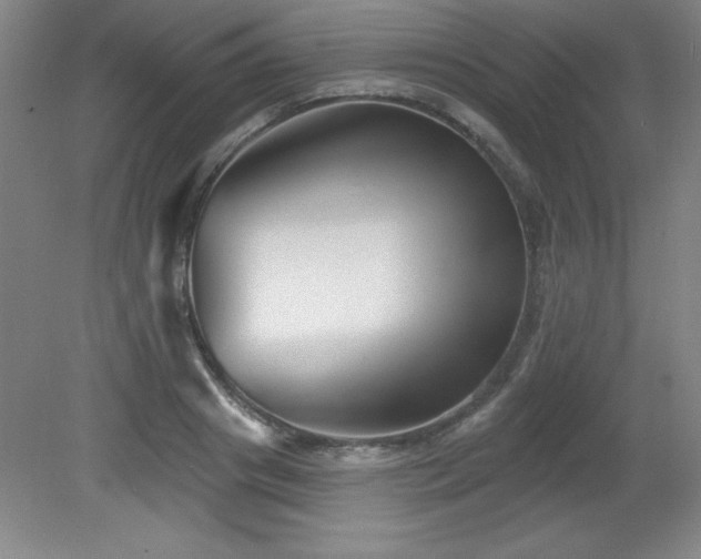 X0000082160841200701191239