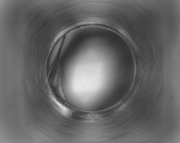 X0000082160842200701191239