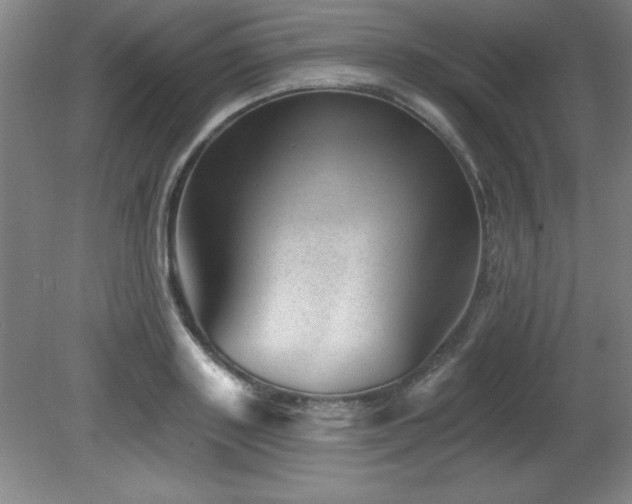 X0000082160843200701191239