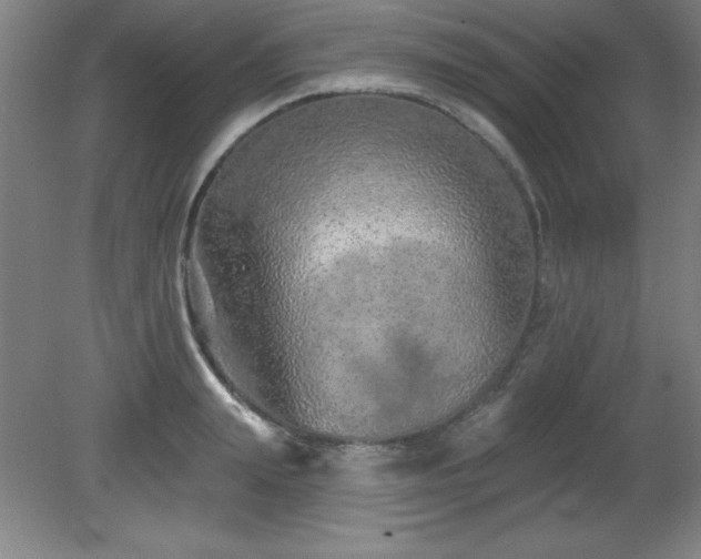 X0000082160847200701191239
