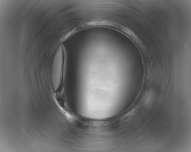 X0000082160849200701191239