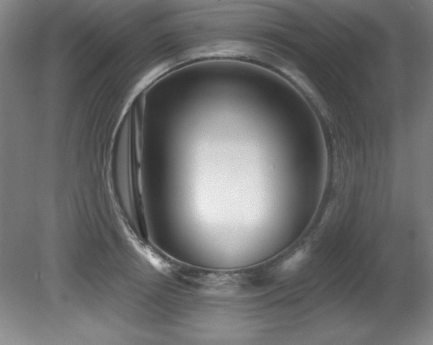 X0000082160850200701191239
