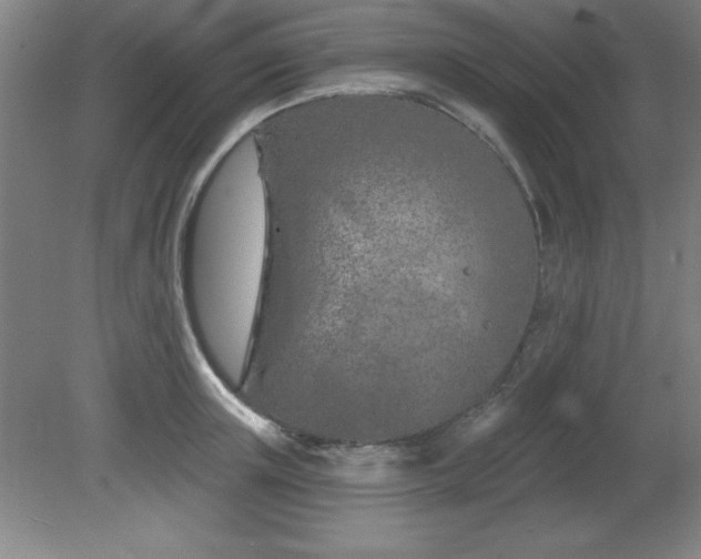 X0000082160851200701191240