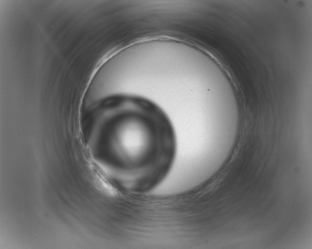 X0000082160858200701191240