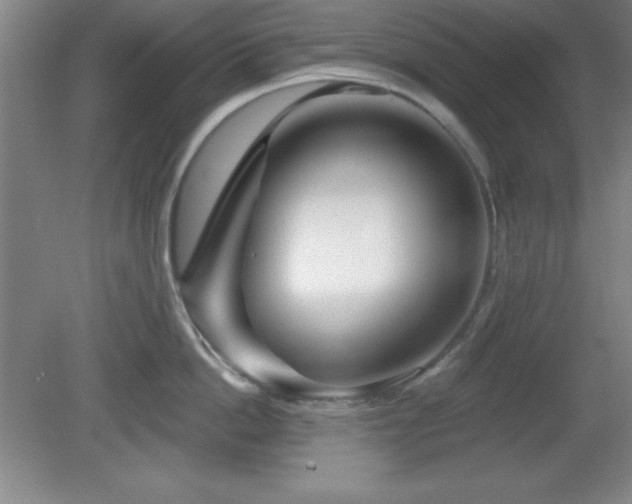 X0000082160862200701191240
