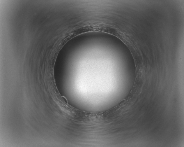 X0000082160865200701191239