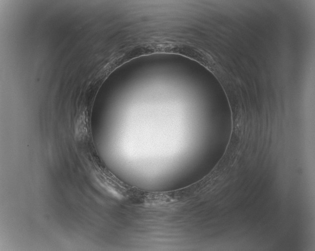 X0000082160866200701191239