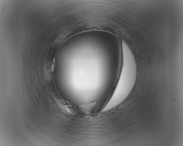 X0000082160868200701191239