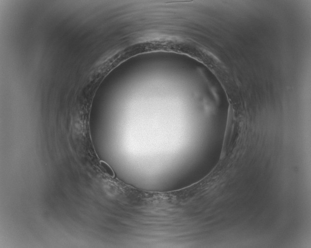X0000082160869200701191239
