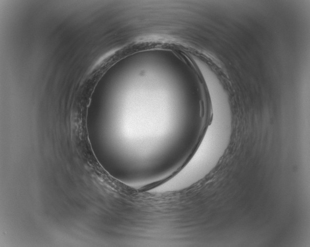 X0000082160872200701191239
