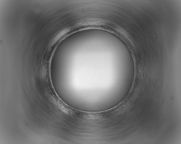 X0000082160874200701191239