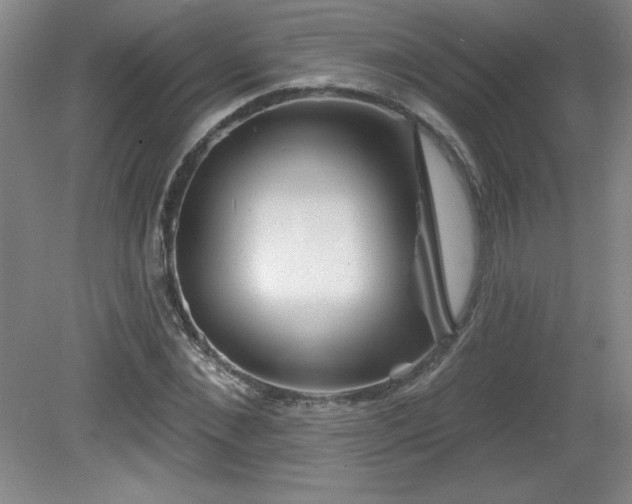 X0000082160876200701191239