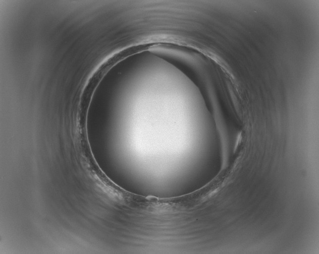 X0000082160880200701191239