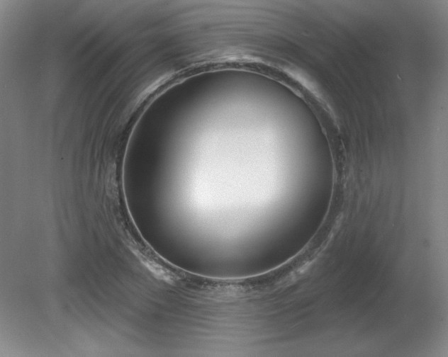 X0000082160881200701191239