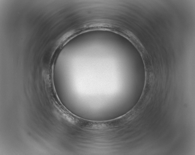 X0000082160882200701191239