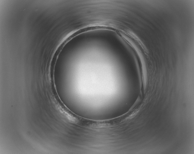 X0000082160884200701191239