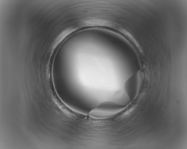 X0000082160885200701191239