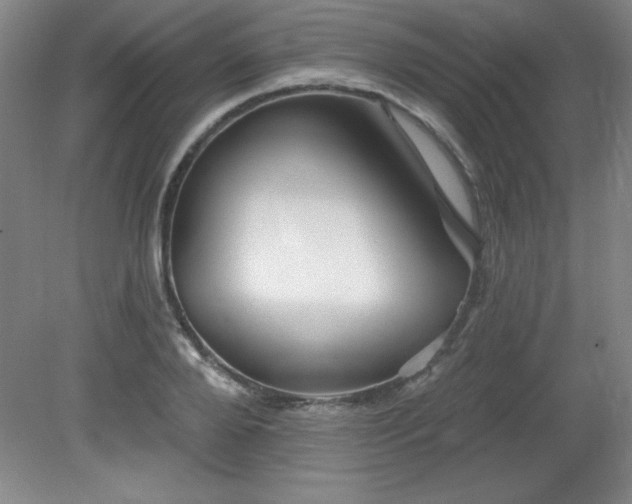 X0000082160888200701191239