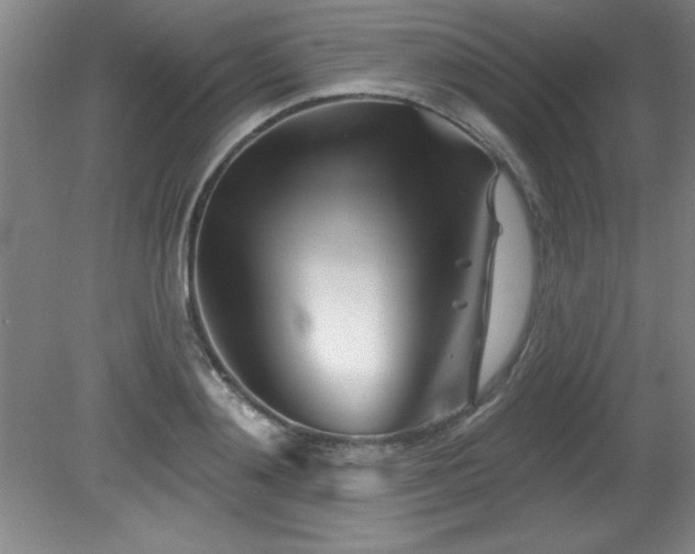X0000082160892200701191238