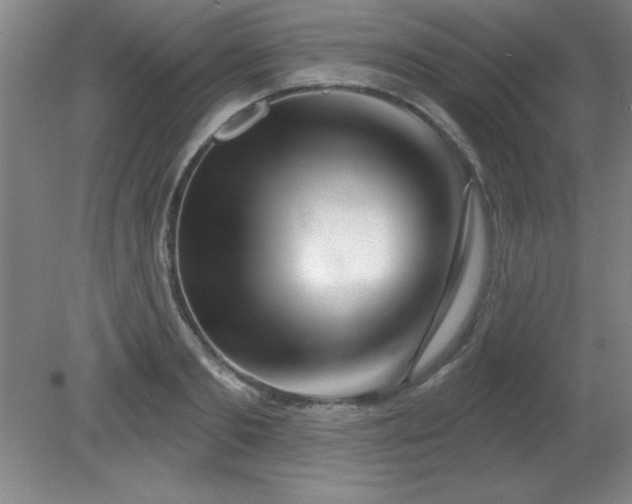 X0000082160893200701191238