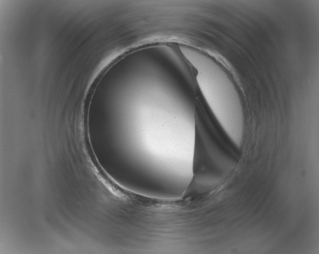 X0000082160894200701191238