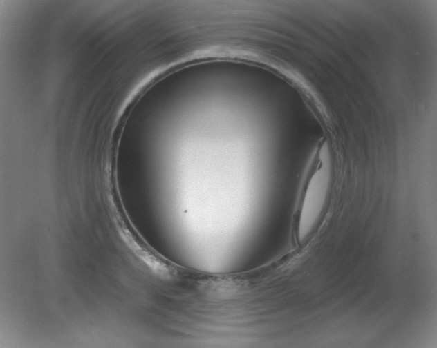 X0000082160896200701191238