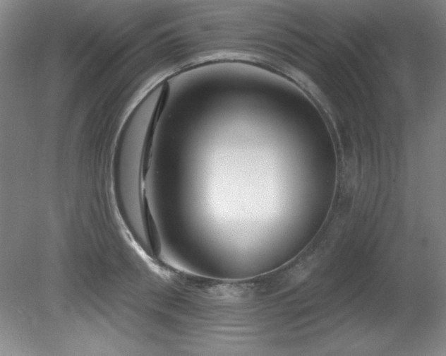 X0000082160898200701191238