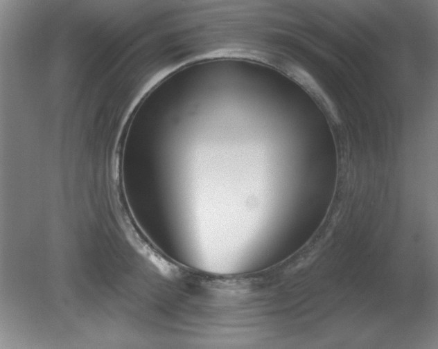 X0000082160900200701191238