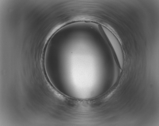 X0000082160901200701191238
