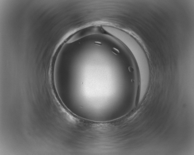 X0000082160902200701191238