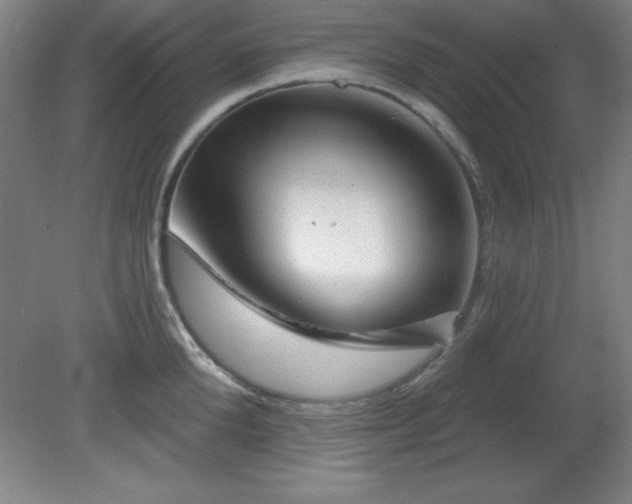 X0000082160904200701191238