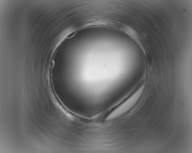 X0000082160906200701191238
