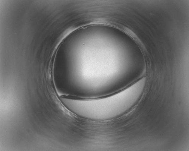 X0000082160908200701191238
