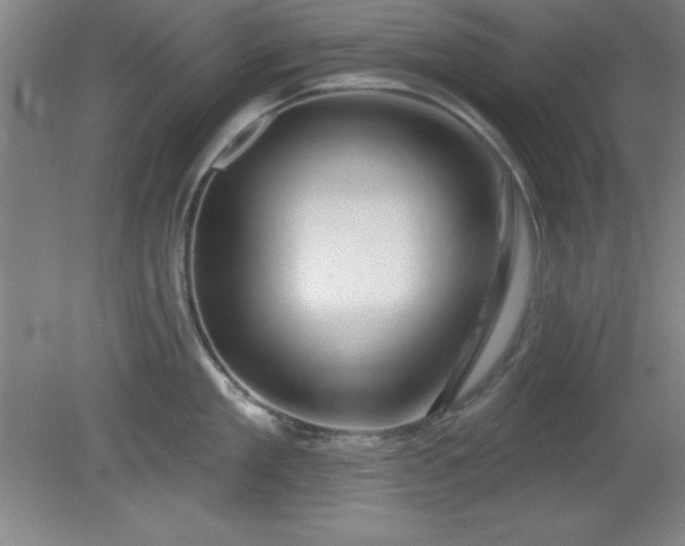 X0000082160909200701191238