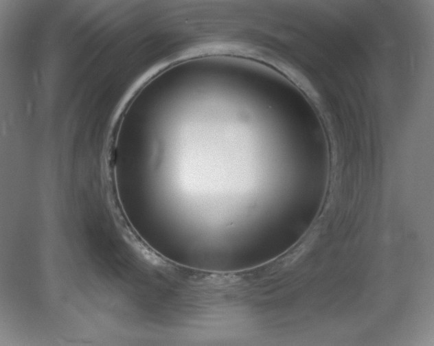 X0000082160912200701191238