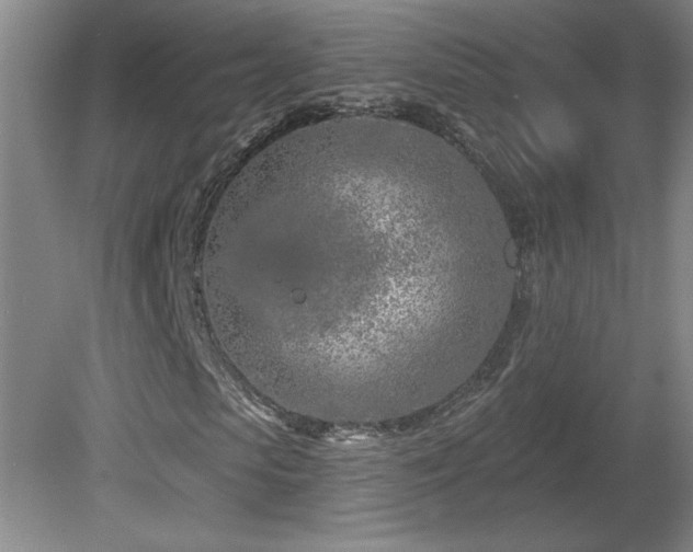 X0000082160913200701191237