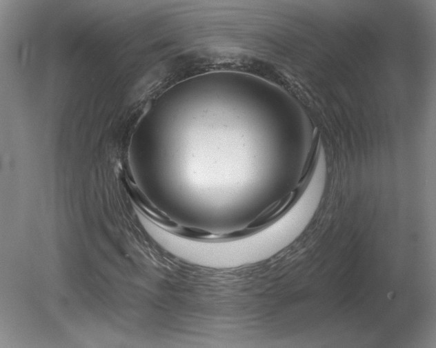 X0000082160916200701191237