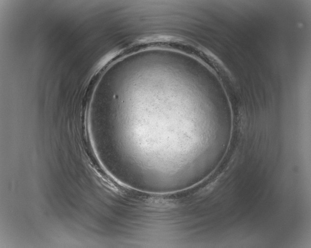 X0000082160921200701191237
