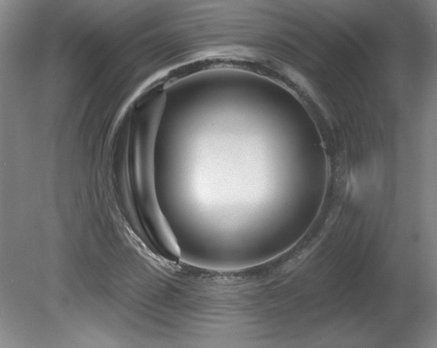 X0000082160923200701191237