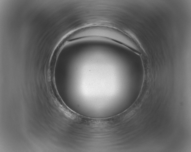 X0000082160924200701191238