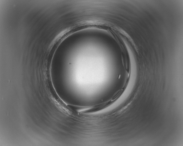 X0000082160930200701191238