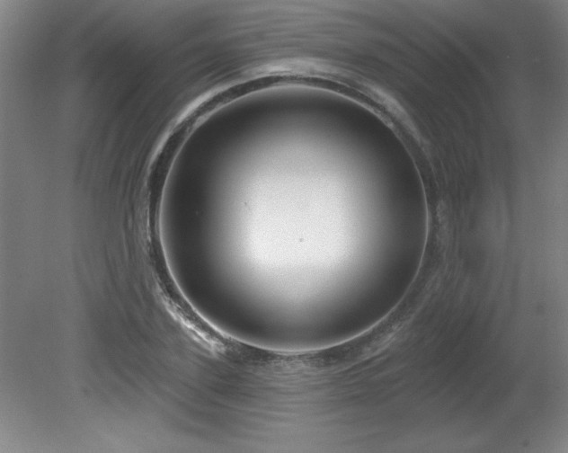 X0000082160931200701191238