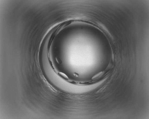 X0000082160932200701191238