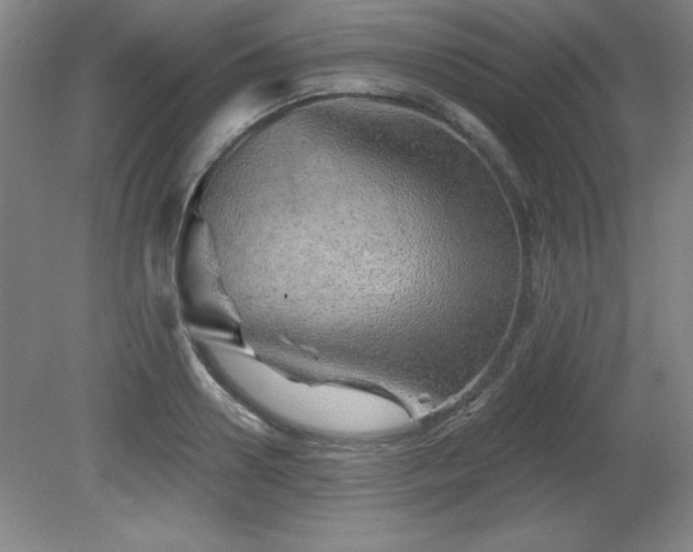 X0000082160938200701191238