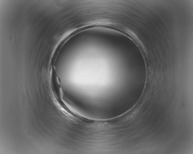 X0000082160939200701191238