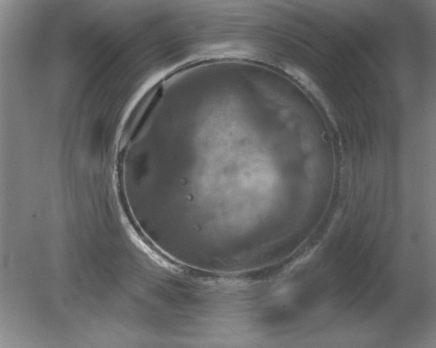 X0000082160941200701191238
