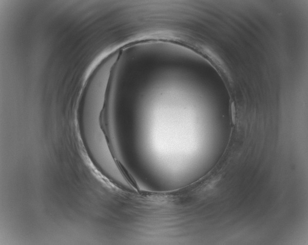 X0000082160944200701191238