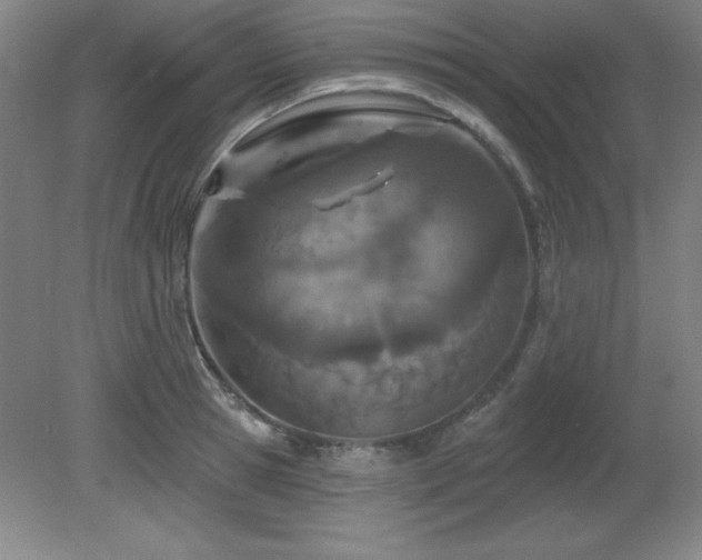 X0000082160945200701191238