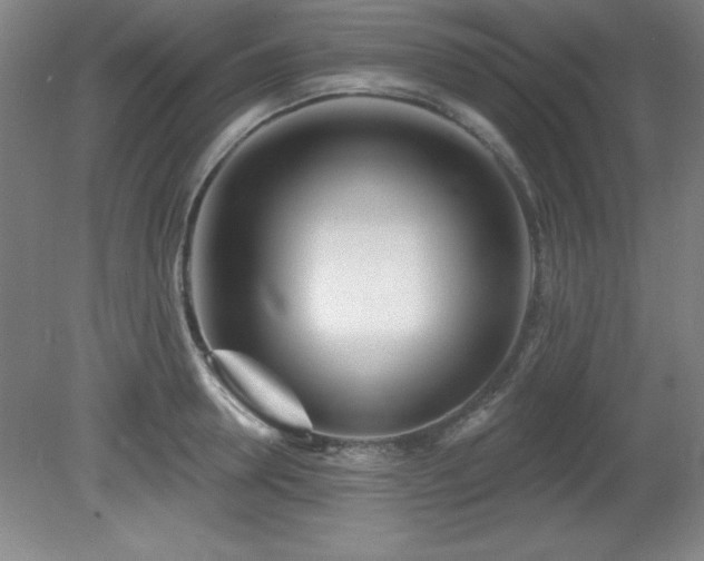 X0000082160946200701191238